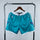 Charlotte Hornets 25 (Shorts)